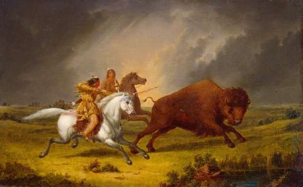 Caccia al Bisonte, Paul Kane, metà XIX secolo. National Gallery of Canada