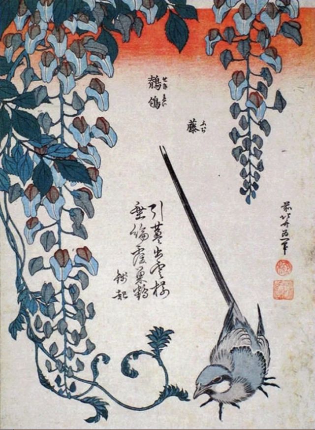 Poster di Hokusai Wagtail, ballerina e glicine