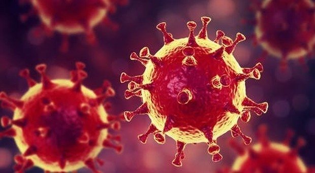 Galli, De Luca e la follia ''Rossa'' del Coronavirus