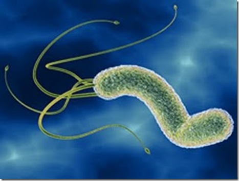 Infezione da Helicobacter pylori: diagnosi e cura