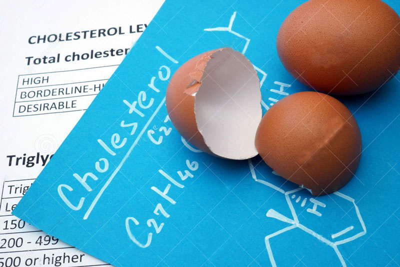 Nutrizione: colesterolo e uova: qual è la verità?