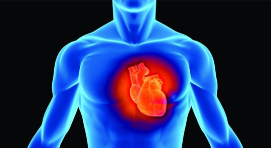 Una nuova molecola che causa l’infarto: la lipoproteina A
