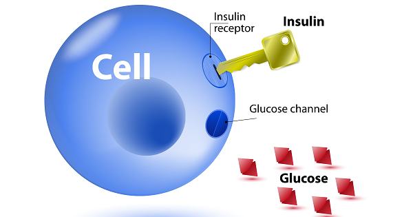 Insulino-resistenza: colpa degli zuccheri o del sale?