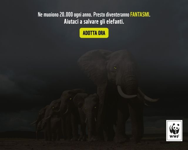 ANIMALI: il WWF lancia una provocazione per Halloween, ''Non lasciamo che orsi, elefanti africani e tigri diventino fantasmi''