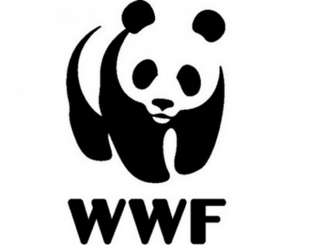 ANIMALI: WWF, PARTE CIVILE PER BRACCONAGGIO NEL PARCO DELL’ASPROMONTE