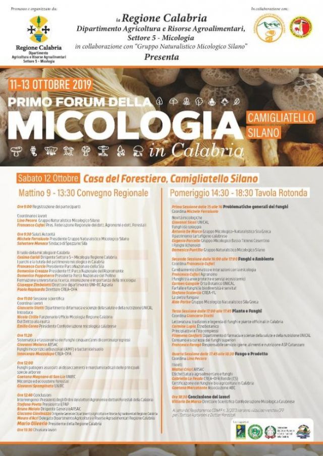 Oliverio parteciperà al “Primo Forum della Micologia in Calabria”