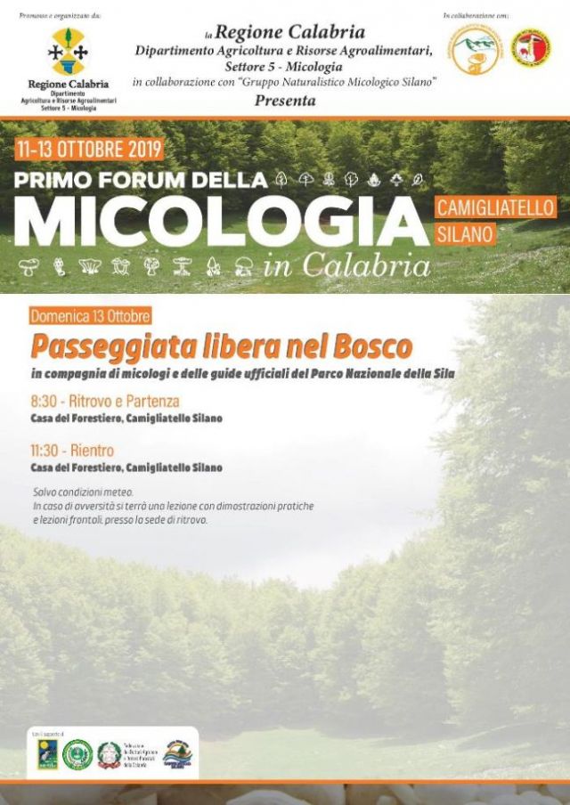 Oliverio parteciperà al “Primo Forum della Micologia in Calabria”