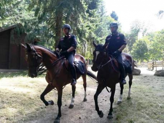 COSENZA, Carabinieri a cavallo per rafforzare i servizi a tutela dell'ordine e della sicurezza pubblica