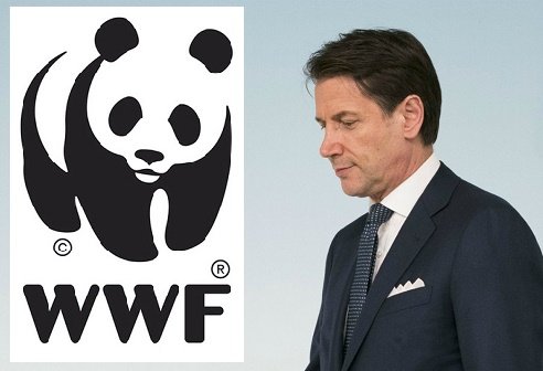 AMAZZONIA: WWF A CONTE, ITALIA PROPONGA PRESA DI POSIZIONE FORMALE AL G7 DI BIARRITZ