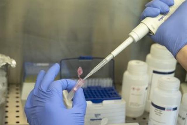 Coronavirus, anche Pfizer avvia fase finale test su vaccino