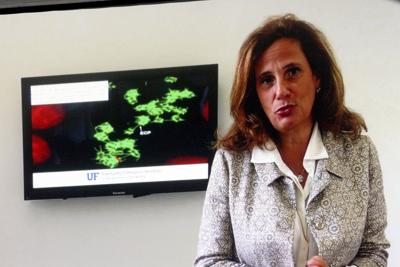 Coronavirus, Ilaria Capua: "Vaccino arriverà, ma andrà reso obbligatorio"