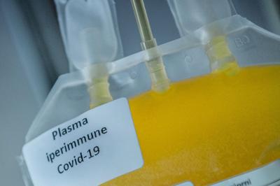 Coronavirus, esperti: "Serve subito banca del plasma da iperimmuni"